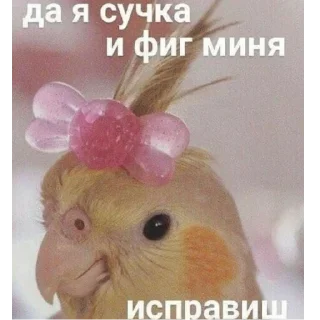 Sticker from Мемы для АуТиСтОв