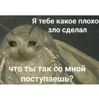 😭 emoji Мемы для АуТиСтОв Telegram sticker 17 of 120