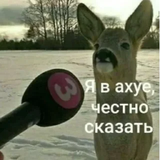 😳 emoji Мемы для АуТиСтОв Telegram sticker 14 of 120