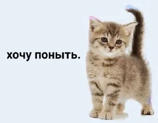 🌟 emoji жиза Telegram sticker 17 of 58