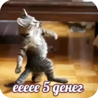 🐱 emoji Скибиди сигма @amirrr733 Telegram sticker 12 of 89