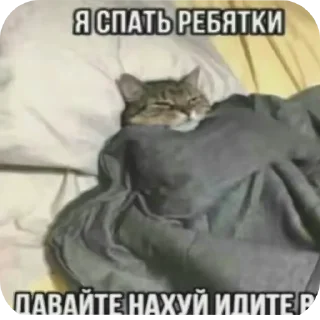 🐱 emoji Скибиди сигма @amirrr733 Telegram sticker 20 of 89