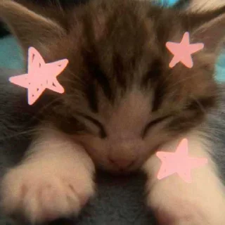 ⭐ emoji kittens '' @a13ksj Telegram sticker 13 of 55