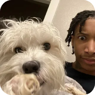 🐶 emoji Swag ➡️ @Ctikerubot Telegram sticker 22 of 53