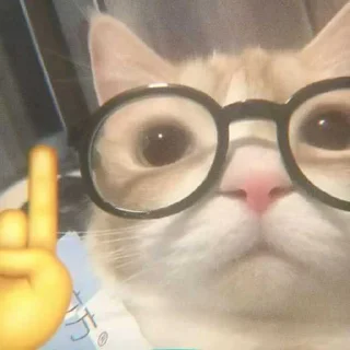 😎 emoji kittens '' @a13ksj Telegram sticker 21 of 55