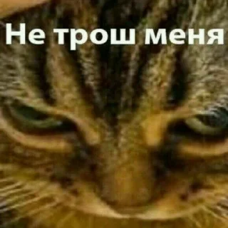 😠 emoji Просто стикер Telegram sticker 5 of 120