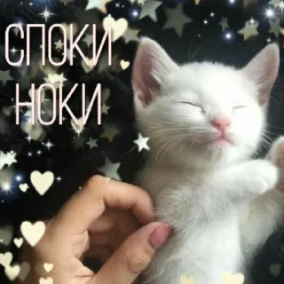 🧡 emoji Просто стикер Telegram sticker 18 of 120