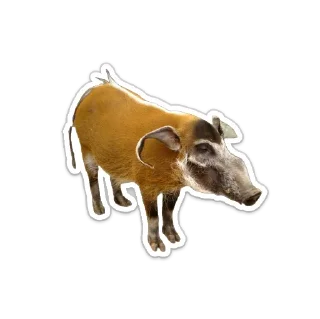 🙃 emoji сус скрофы Telegram sticker 3 of 18