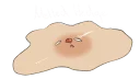 ☀ emoji Cinnamon Telegram sticker 19 of 61