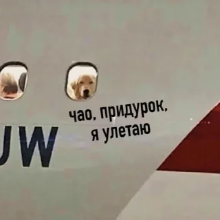 🖕 emoji Иди нахуй по братски Telegram sticker 22 of 25