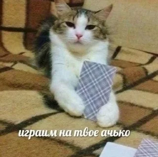 ❓ emoji Иди нахуй по братски Telegram sticker 17 of 25