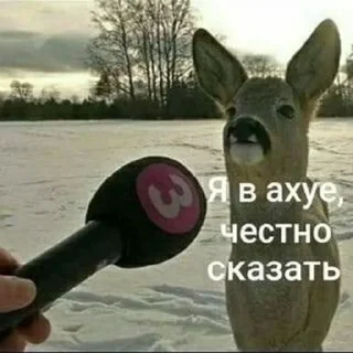 😲 emoji Иди нахуй по братски Telegram sticker 12 of 25