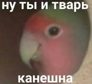 ☹️ emoji Иди нахуй по братски Telegram sticker 16 of 25