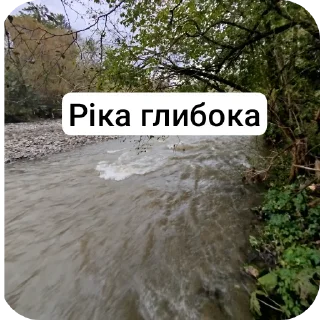 👍 emoji Біда 2025 Telegram sticker 9 of 90