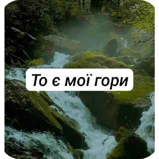 👍 emoji Біда 2025 Telegram sticker 17 of 90