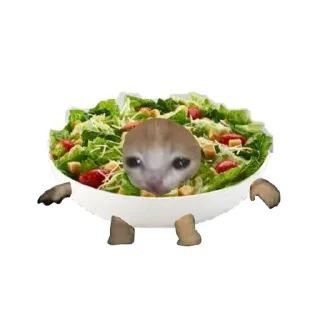 🥗 emoji коты и новый год🎄 Telegram sticker 13 of 30