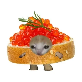 🥪 emoji коты и новый год🎄 Telegram sticker 15 of 30