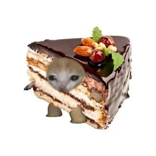 🍰 emoji коты и новый год🎄 Telegram sticker 12 of 30
