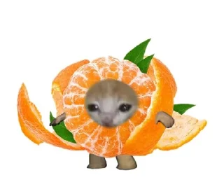 🍊 emoji коты и новый год🎄 Telegram sticker 16 of 30
