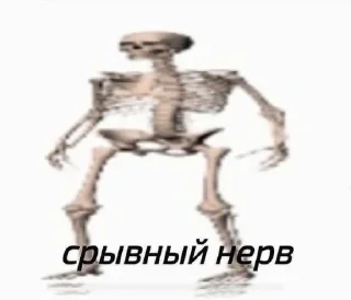 💀 emoji мемы Telegram sticker 17 of 117