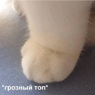 😡 emoji Cherry vibes Telegram sticker 24 of 46