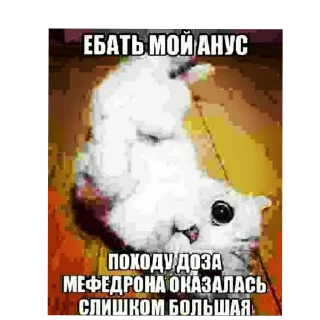🖼 emoji ебучий шакал Telegram sticker 10 of 41