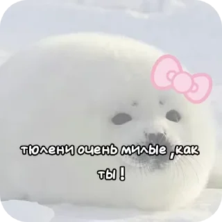 Sticker from Крутой стикер пак