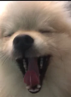🌟 emoji Ричард писюлик❤️👅🤙🏿 Telegram sticker 21 of 25