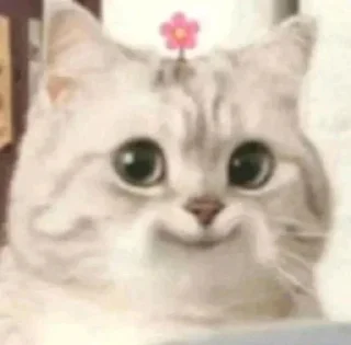 😊 emoji Cat Telegram sticker 10 of 54