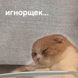 😔 emoji Мм хуета Telegram sticker 18 of 100