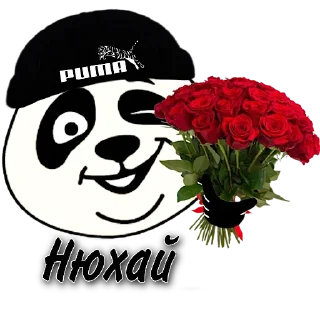 💐 emoji @dcredit Telegram sticker 23 of 120
