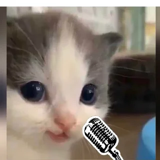 🎤 emoji He-he Telegram sticker 7 of 33