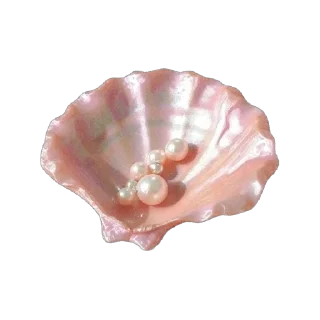 🐚 emoji 𝓅𝒾𝓃𝓀⋆. 𐙚 ˚ | 𝒷𝓎 @martishaslay Telegram sticker 6 of 40