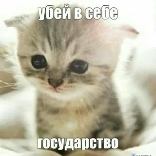 😏 emoji китики dy psyho ➡️ @Ctikerubot Telegram sticker 9 of 32