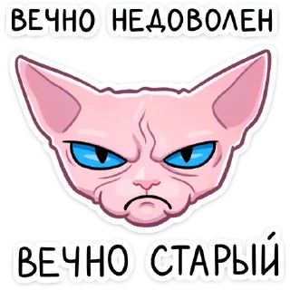 😡 emoji Рамзес ::: @st_pack Telegram sticker 17 of 43