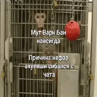 😡 emoji Пезда тебе Telegram sticker 11 of 28
