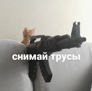 😘 emoji тоня блять че за хуйня Telegram sticker 5 of 92