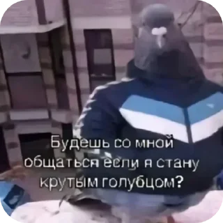 🚗 emoji стики от родных) Telegram sticker 2 of 58