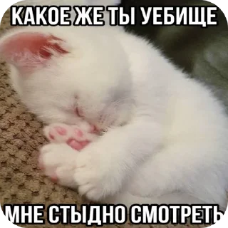 Sticker from Стики