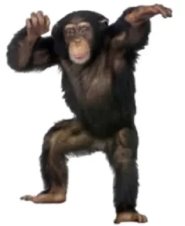 🗿 emoji стики от пинки Telegram sticker 11 of 65