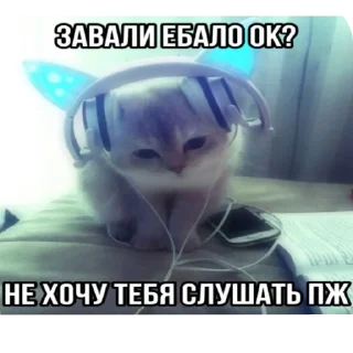 Sticker from Стики
