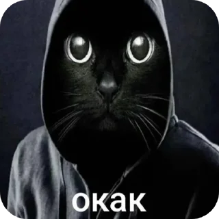 🐱 emoji Мемчики Telegram sticker 17 of 71