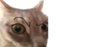 🤨 emoji Пак від @memymoimemy Telegram sticker 24 of 65