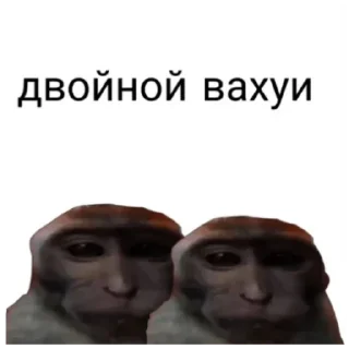 Sticker from Вахуи