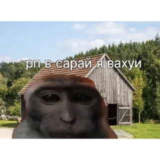 👨‍🌾 emoji вахуи. Telegram sticker 9 of 47