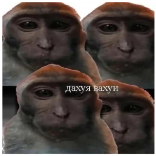 Sticker from Вахуи