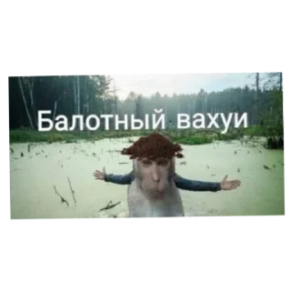 😐 emoji Вахуи Telegram sticker 10 of 18
