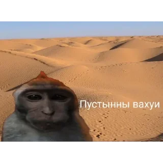 🐵 emoji Вахуи > @bibizyankii Telegram sticker 19 of 50