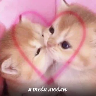 💗 emoji cute 🥰 Telegram sticker 10 of 112