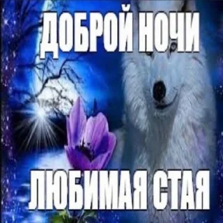 🌃 emoji это что Telegram sticker 15 of 120